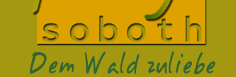 Waldpflege Soboth